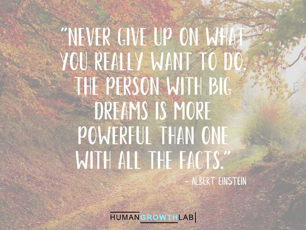 An Albert Einstein quote on Should You Follow Your Dreams - "Never give up on what  you really want to do.  The person with big  dreams is more  powerful than one  with all the facts."