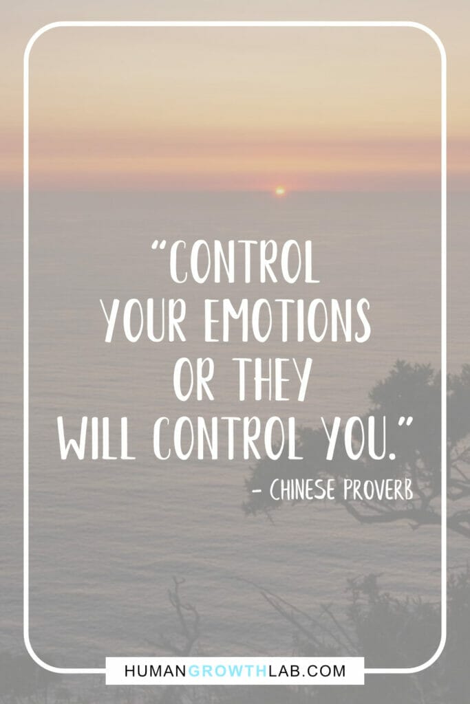 Chinese saying on success - “Control your emotions or they will control you.”