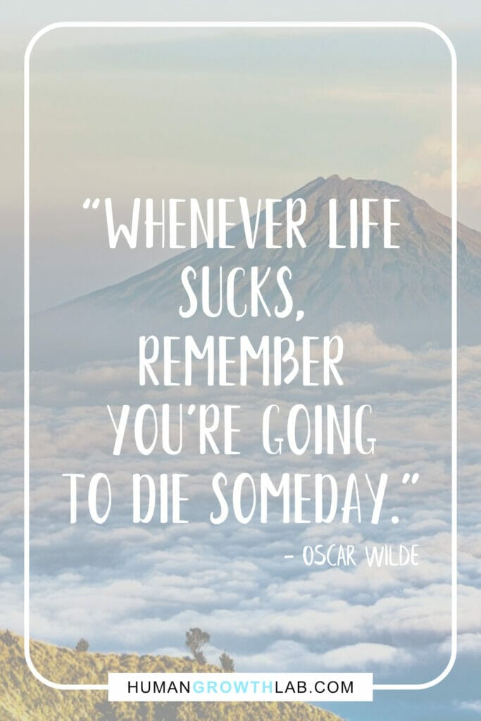 Oscar Wilde life sucks quote - “Whenever life  sucks,  remember  you’re going  to die someday.”