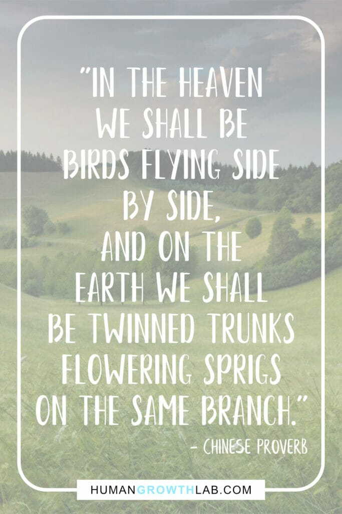 Chinese proverb about love - "In the heaven we shall be birds flying side by side, and on the earth we shall be twinned trunks flowering sprigs on the same branch."